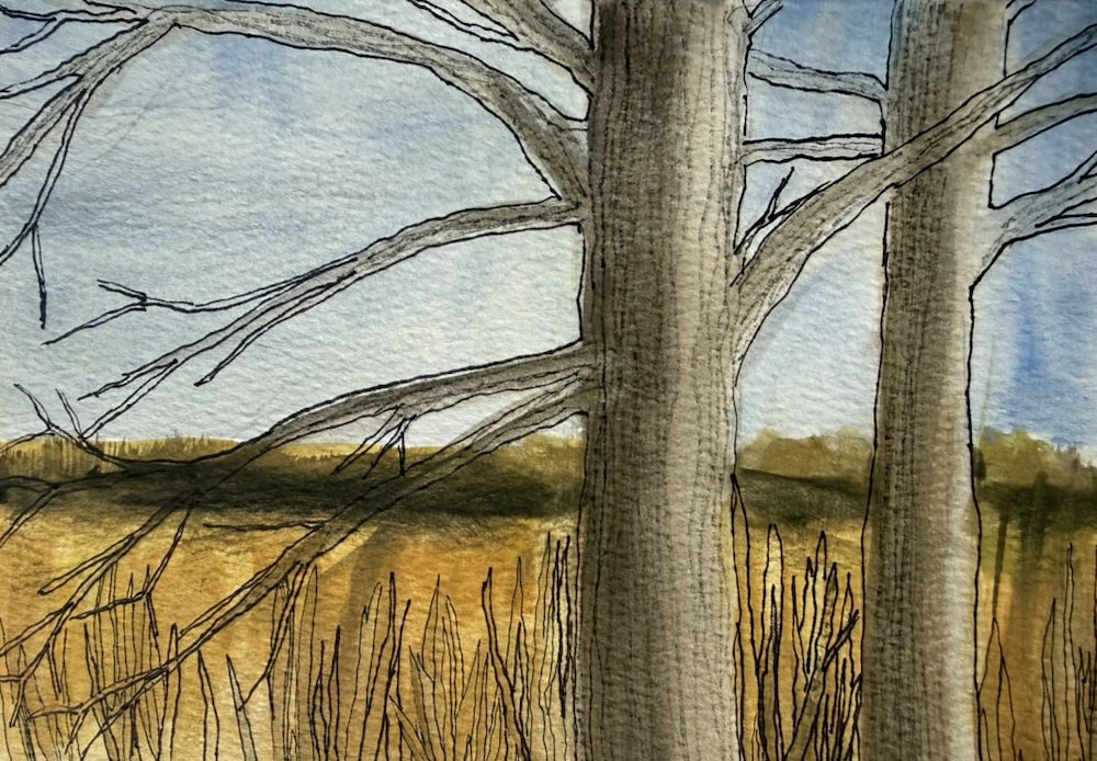 Sketchbook painting from Zinn Preserve.