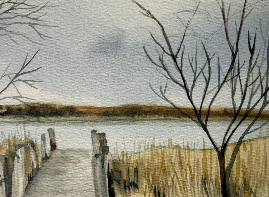 Sketchbook study of Zinn Preserve.