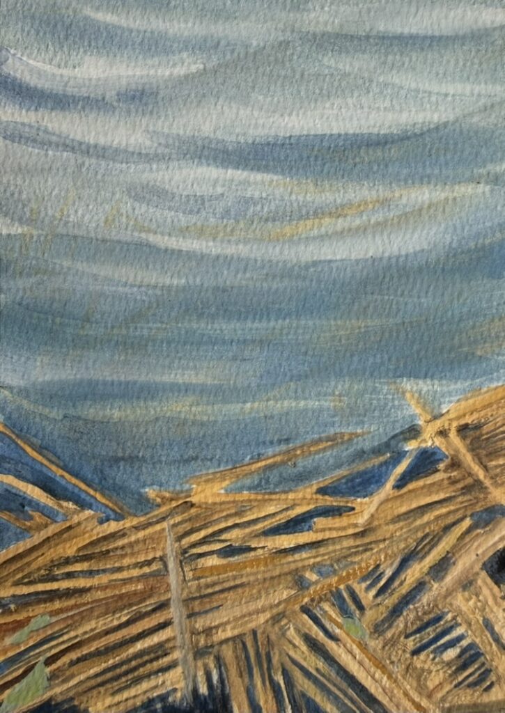 Sketchbook study of Zinn Preserve.
